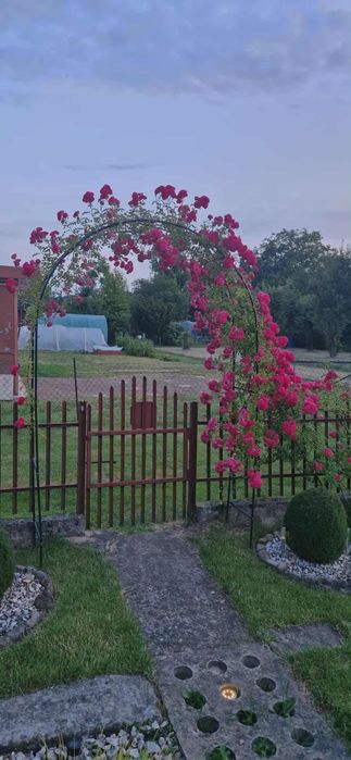 Działka rekreacyjna ROD