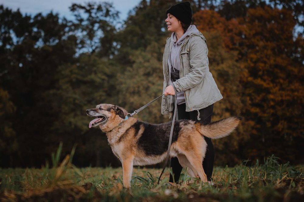 Hagi - duży przyjaciel czeka na wymarzony dom