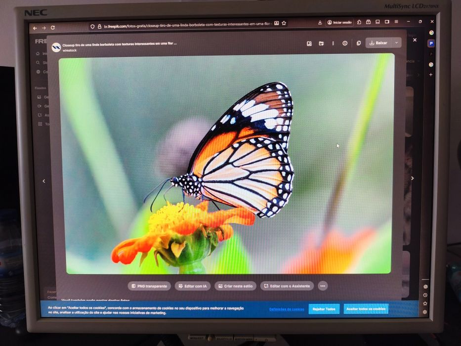 Monitor antigo + cabos