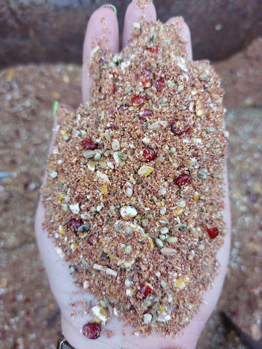 Zanęta Danimo tutti-frutti 8 kg kukurydziano-konopiana