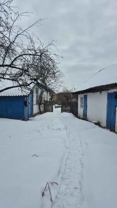 Бабинці-продам ділянку  15 сот з будівлями!