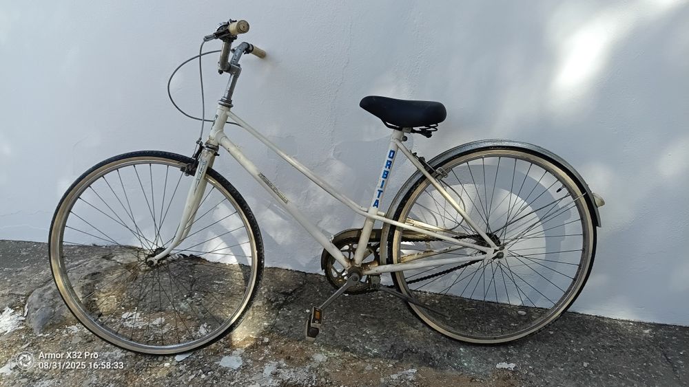 Bicicleta  Pasteleira Orbita