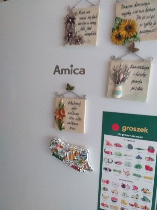 Lodówka Amica.uzywana