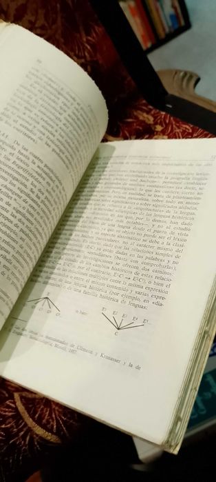 Principios de Semántica Estructural - Eugenio Coseriu