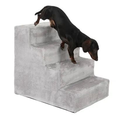 Schody Stepway  dla psa Rozmiar L: dł. x szer. x wys.: 65 x 51 x 60 cm