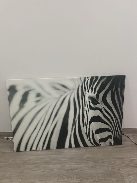 Quadro zebra ikea