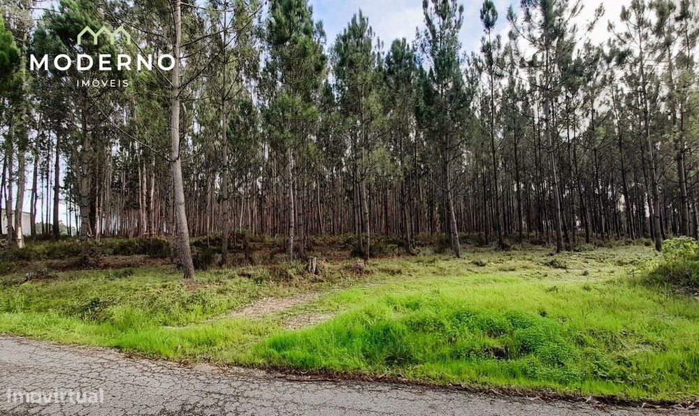 Terreno de Construção – Água Formosa – Ilha