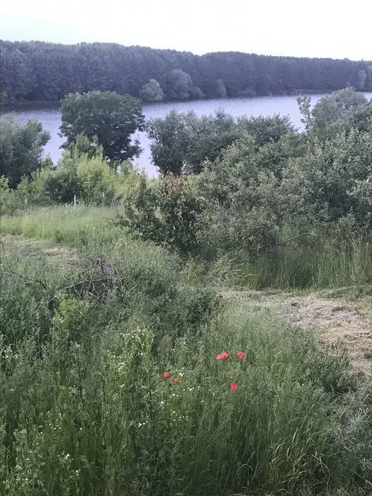 Дом по адресу ул. Магистратская (площадь 160 м²) - Atlanta.ua - фото 10