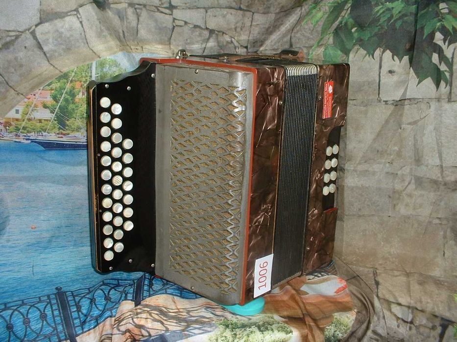 Promoção de Acordeões de concertinas