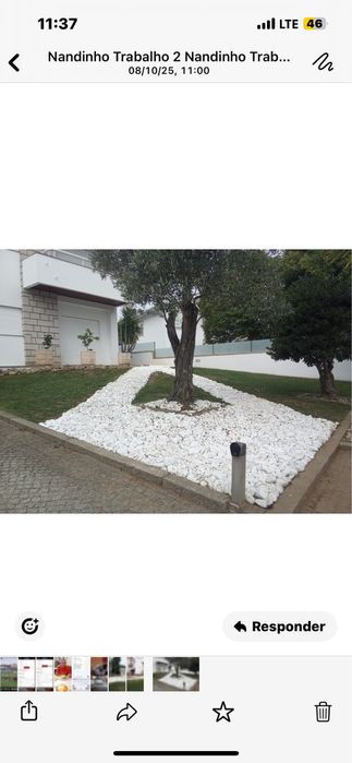 Executamos trabalhos de limpeza de terrenos e jardinagem