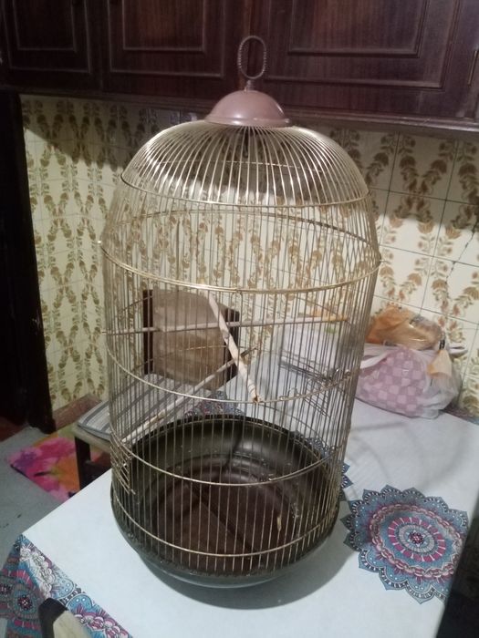 Gaiola grande praticamente nova