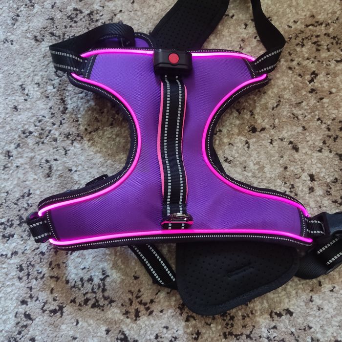 Шлея для собак з світовим ефектом