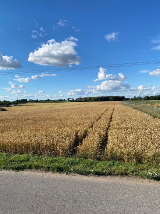 Działka rolna.