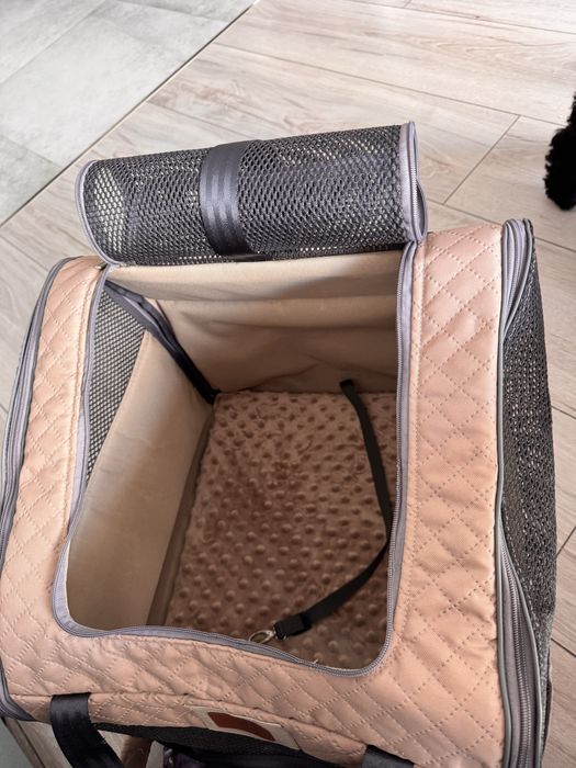 Transporter samochodowy dla psa