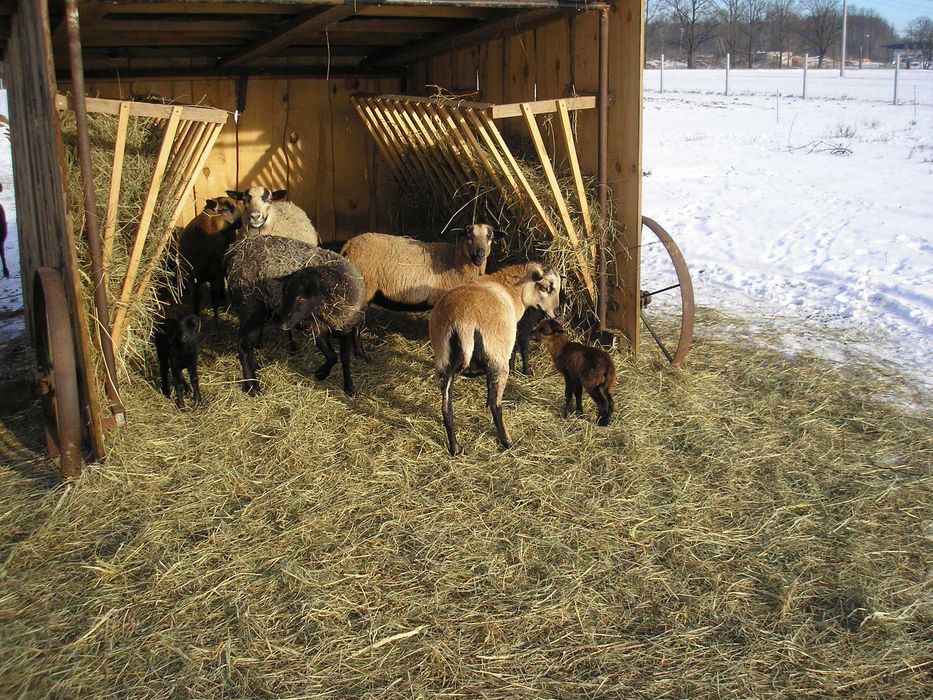 Piękne Siedlisko 1,6 ha