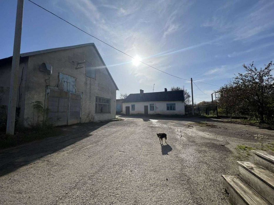 Продаж виробничо-складського приміщення, цегельний завод, с. Горбачі