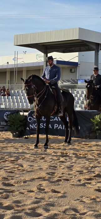 COBRIÇÕES disponíveis PSL 70 pts