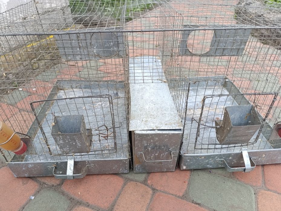 Клітка для гризунів білка дегу, кролики, хом'як, шиншила