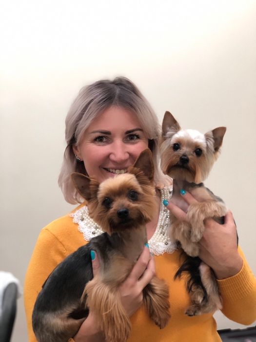 Стрижка котов, собак, кроликов,  Опытный грумер!