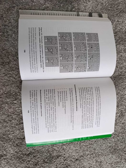 Morfologia e Crescimento (portes incluídos)