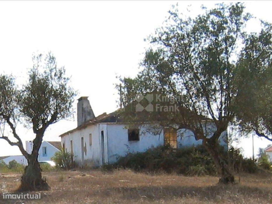 Terreno com 31750 m2 com PIP aprovado em Coruche, Santarém