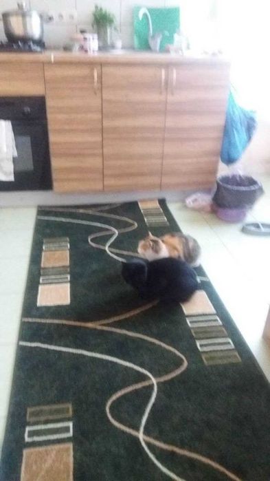 Продам дом Рыбаковке