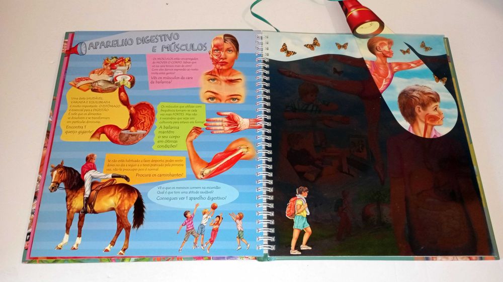 Corpo Humano - Livro lanterna