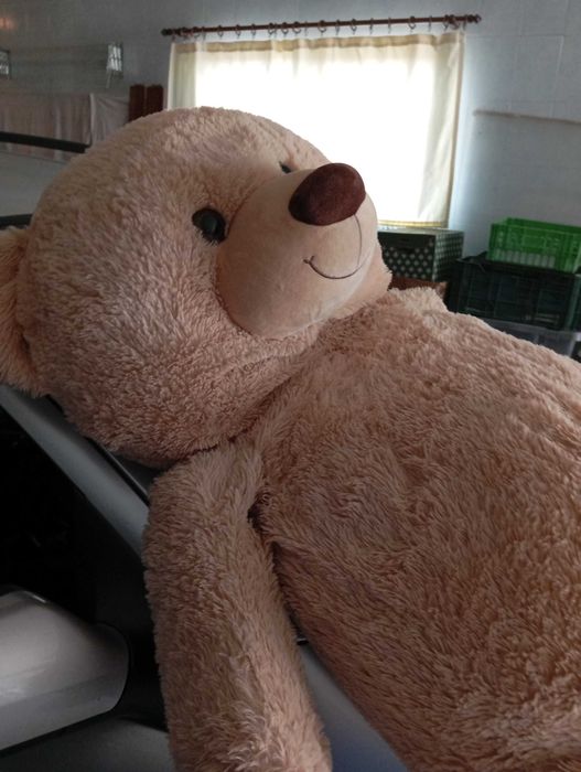 Urso gigante em Peluche  na cor beje e castanho