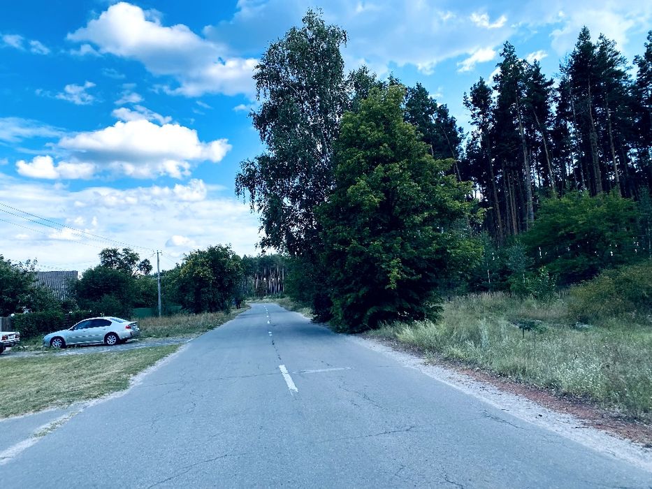Будинок у Пилиповичах з великою ділянкою