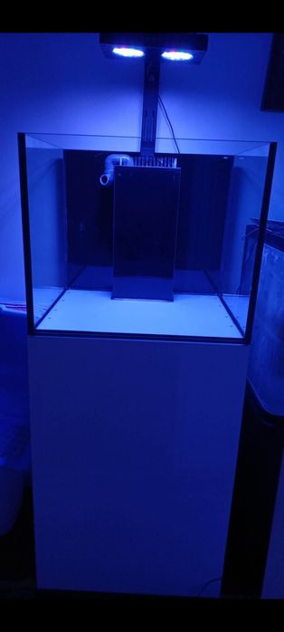 Vendo aquário e movel e sump