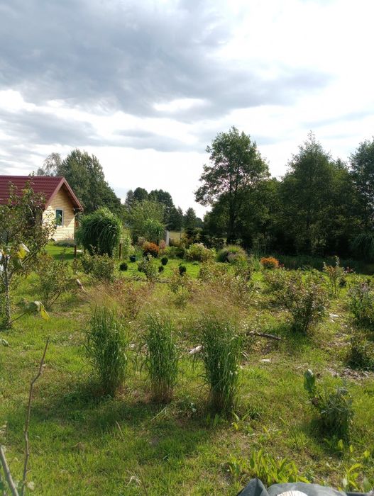 Zdjęcie 6