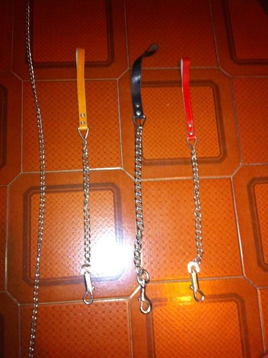 Seleção de trelas e cadeados para caes e gatos