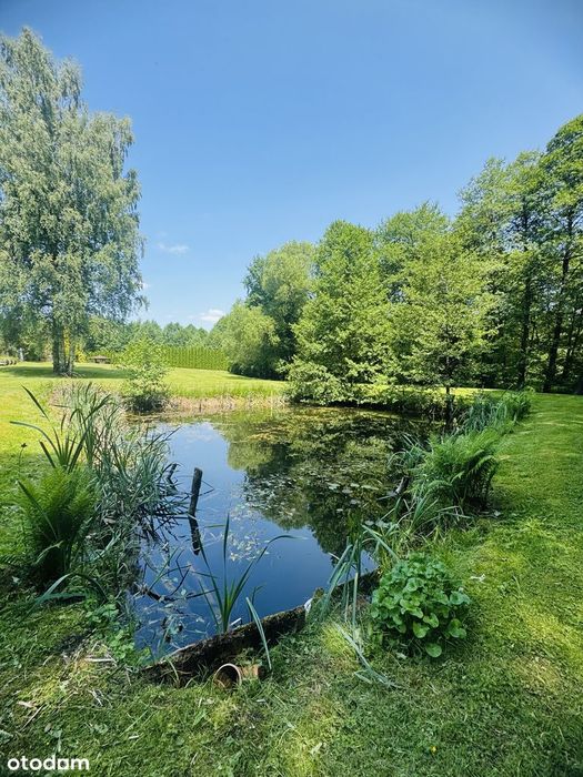 Oaza spokoju z własnym stawem i strumykiem
