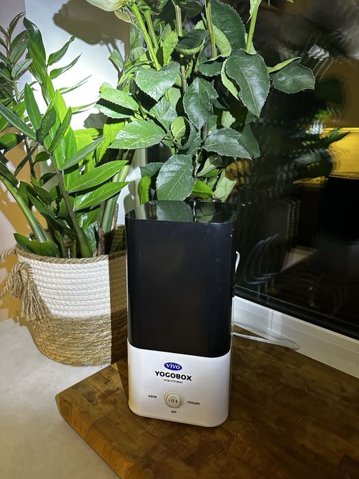 Йогуртниця Vivo, для приготування йогурту