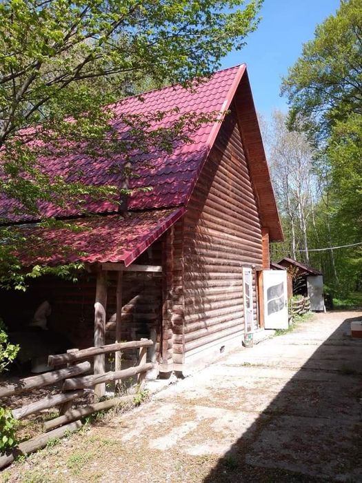 Продаж Кафе з власною Автостоянкою