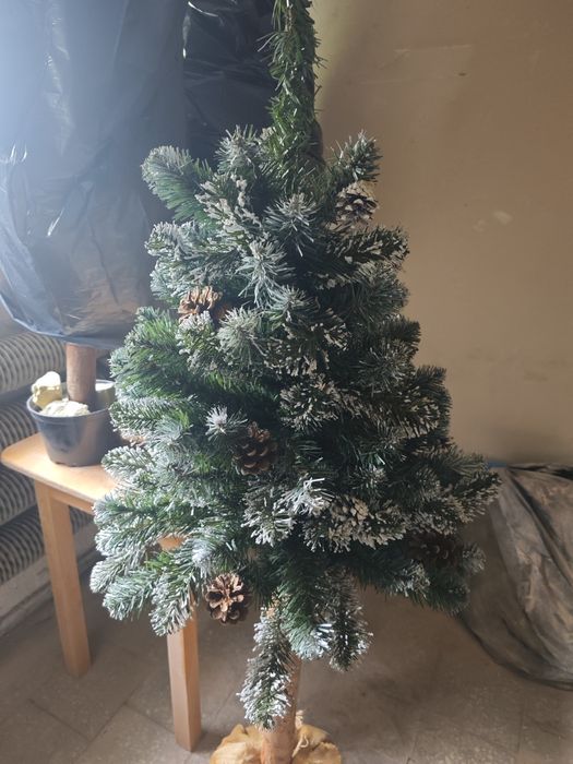Choinka na pniu wysokość 135 cm