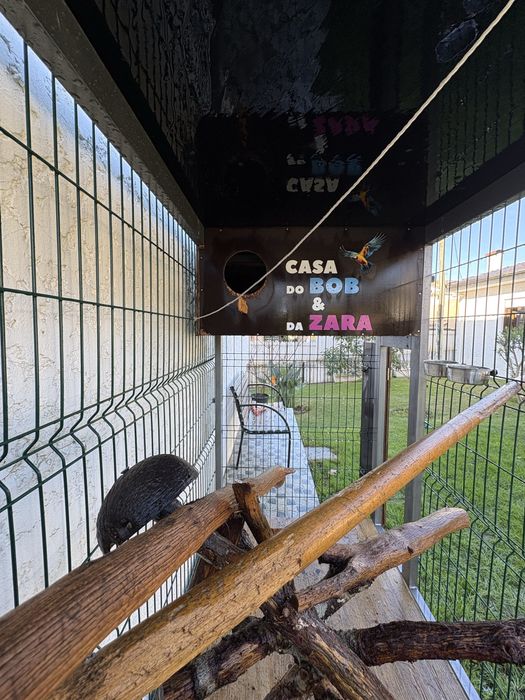 Gaiola Grande para Pássaros