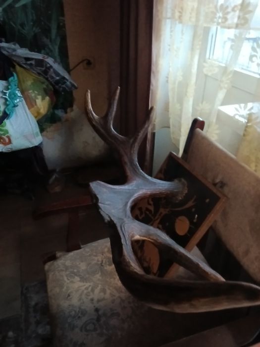 Продаю за 800 грн