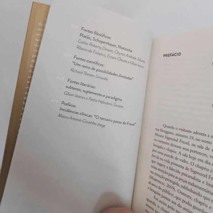 Para Além do Princípio do Prazer (Edição Especial e Alargada) (Sigmund Freud)