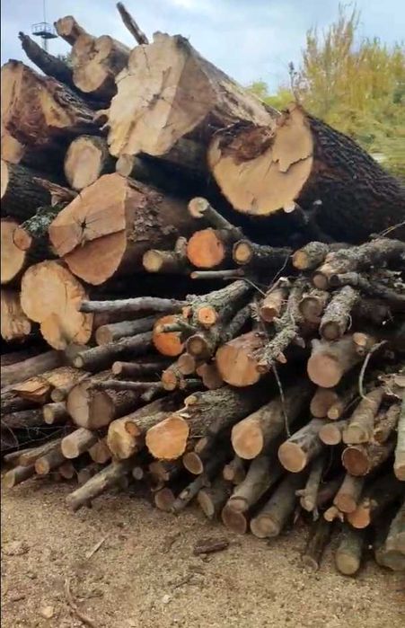 НЕДОРОГО Продам Дрова твёрдые с ДОСТАВКОЙ / Акация ДУБ Ясень Берест