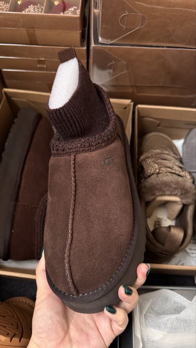 Ugg tazz угі таз в шоколадному кольорі