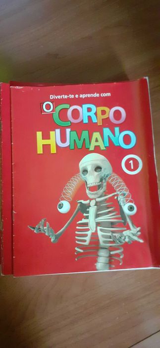 Coleccao corpo humano
