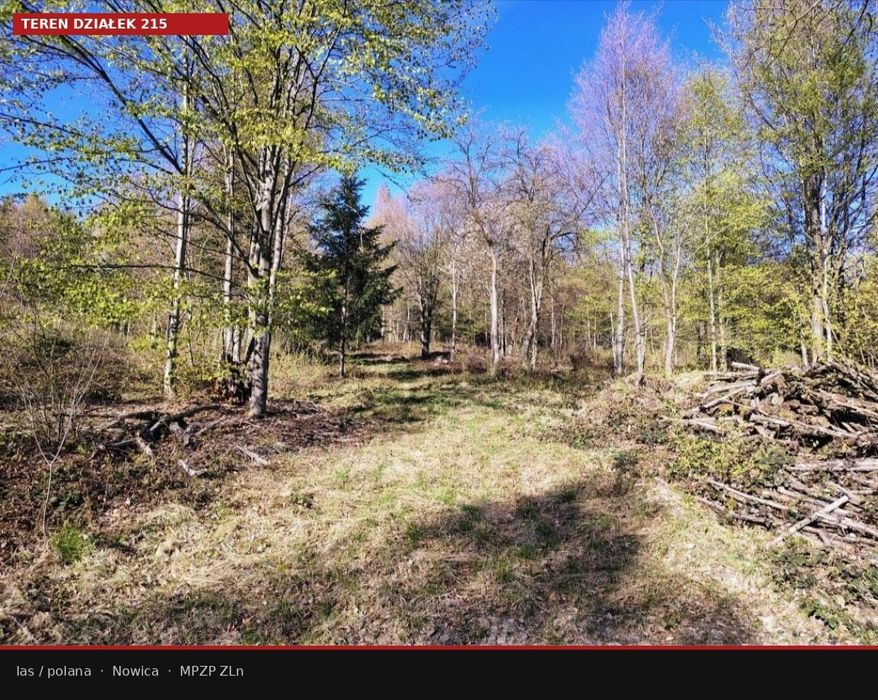 Działka leśna Las  Beskid Niski  Nowica