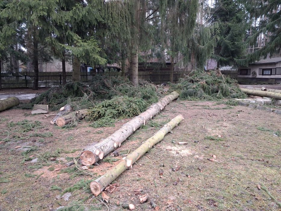 Drewno dłużyca / Świerk / Bobrowa / sprzedam