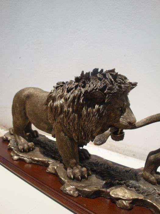 Casal dos leões dourados