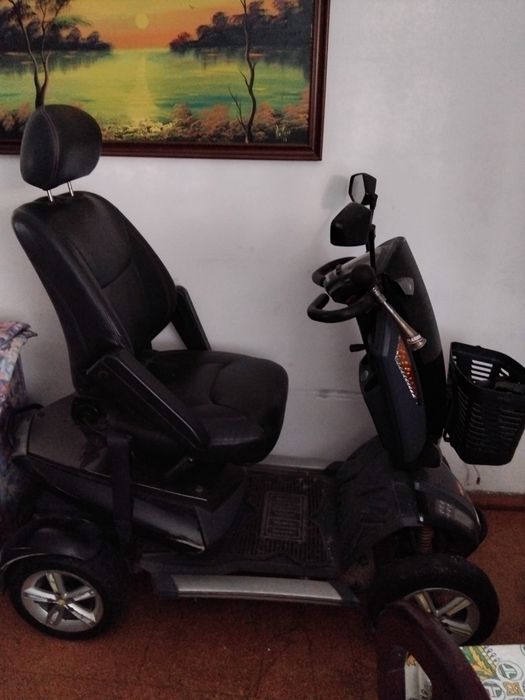 Socter pantera otimo eatsdo