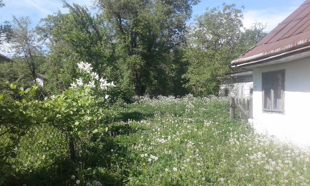 Земельна ділянка