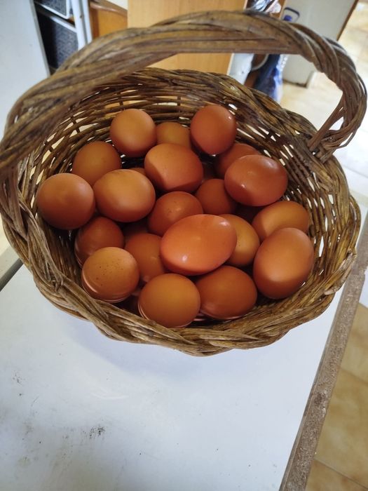 Ovos Caseiros Fresquinhos – Direto da quinta para Sua Mesa!