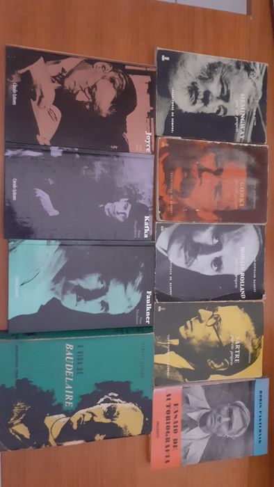 Biografias de literatura
