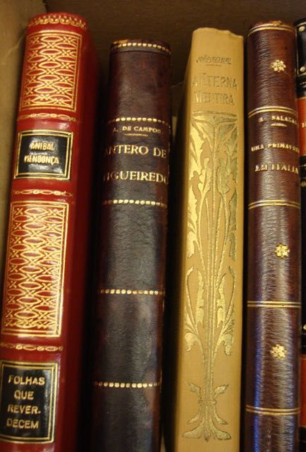 Catálogo Ilustrado das Aves de Portugal